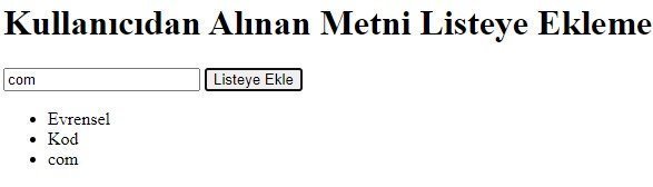 Javascript Kullanıcıdan Alınan Metni Listeye Ekleyen Program Örneği