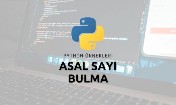 Python Asal Sayı Bulma