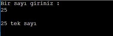 Python Girilen Sayı Tek mi Çift mi Olduğunu Bulan Program