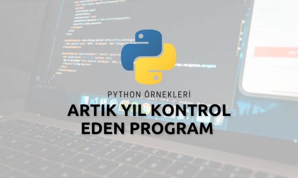 Python Artık Yıl Kontrol Eden Program 