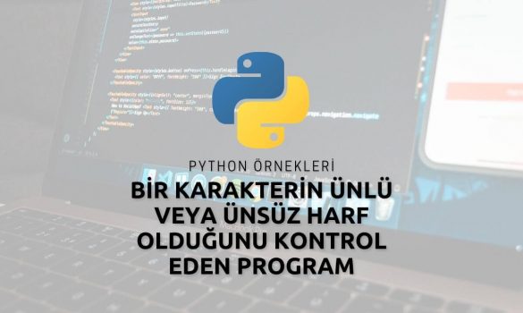 Python Bir Karakterin Ünlü Veya Ünsüz Harf Olduğunu Kontrol Eden Program