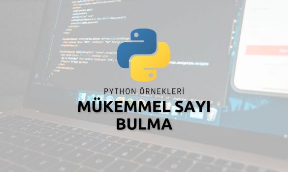 Python Mükemmel Sayı Bulma