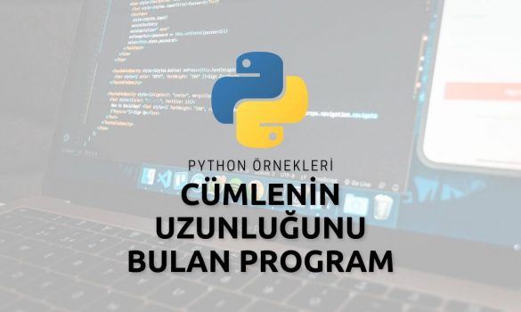 Python Cümlenin Uzunluğunu Bulan Program