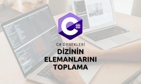 C# Dizinin Elemanlarını Toplama