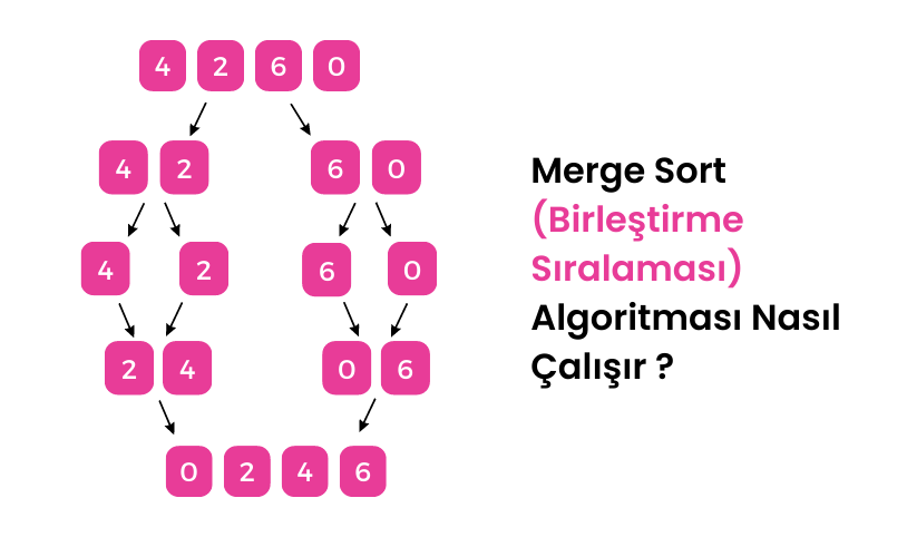 Merge Sort (Birleştirme Sıralaması) Algoritması Nasıl Çalışır 