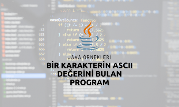 Java Bir Karakterin ASCII Değerini Bulan Program